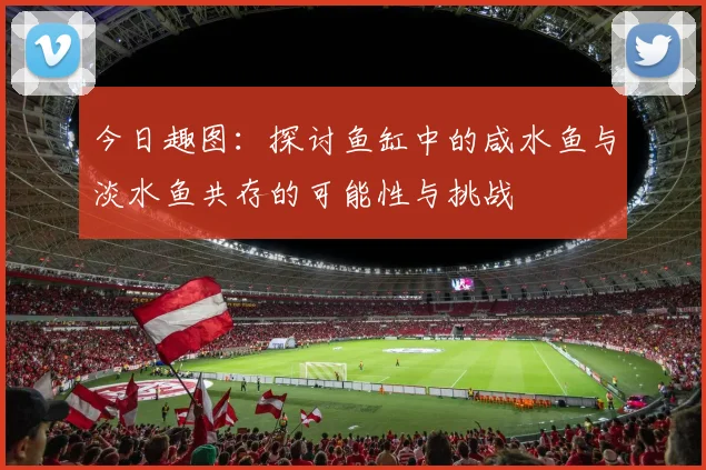 今日趣图：探讨鱼缸中的咸水鱼与淡水鱼共存的可能性与挑战