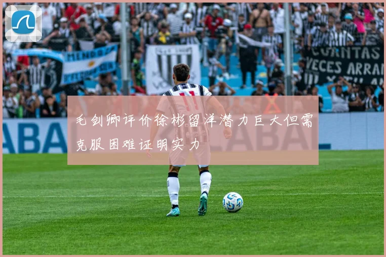 毛剑卿评价徐彬留洋潜力巨大但需克服困难证明实力